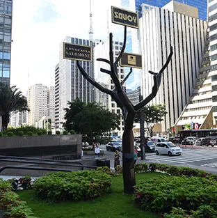 Imagem complementar 3 da empresa Savoy