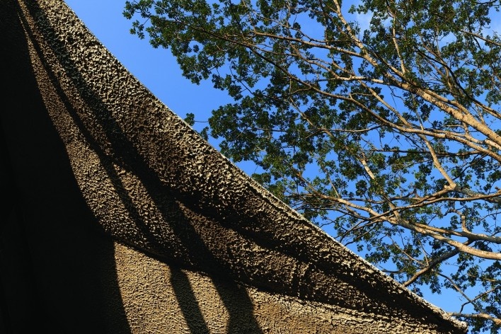 Mirador Aula, Bosque Protector Cerro Blanco, Guayaquil, Ecuador, 2022. Arquitectos David Barragán, Pascual Gangotena, Maríaluisa Borja y Esteban Benavides (autores) / Al Borde<br />Foto/photo Jag Studio 