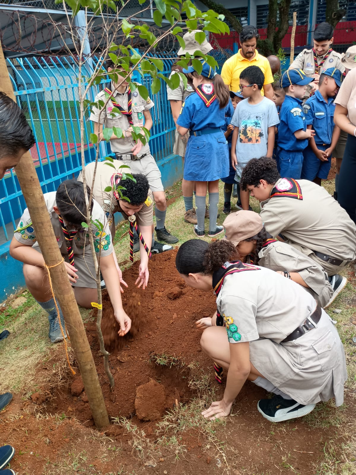 Evento para plantio de dezenas de novas árvores mobiliza a comunidade e reforça o Compromisso Social na Zona Leste